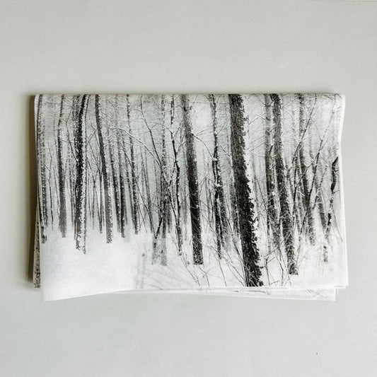 Seidenpapier, weiß/schwarz, Birkenwald
